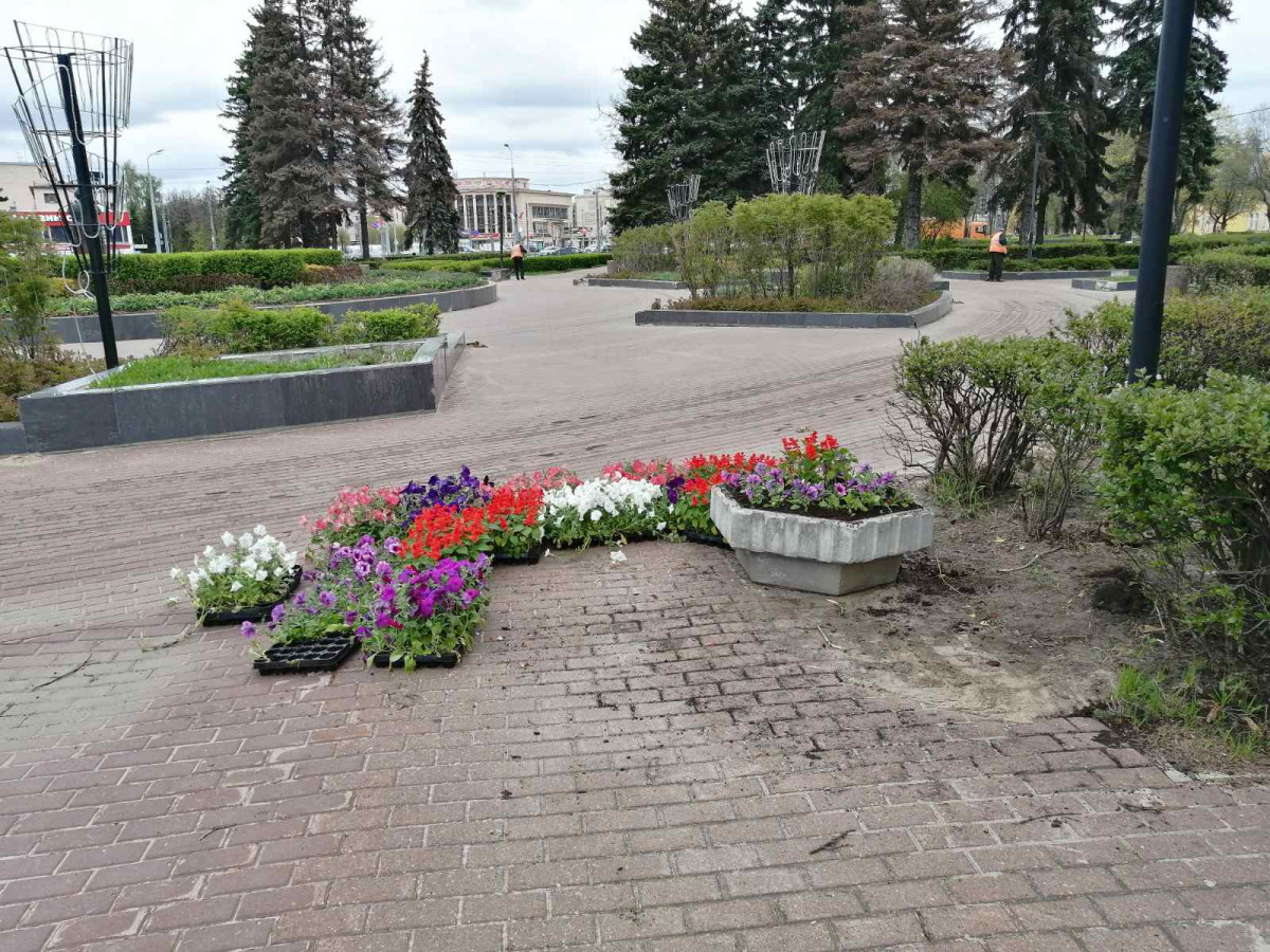 Цветы Купить В Нижнем Новгороде Автозаводский Район