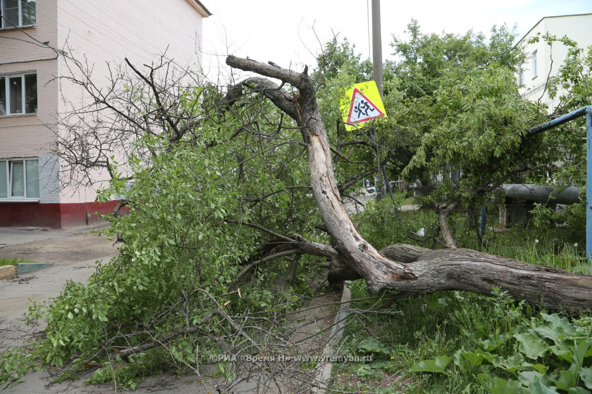 Мощный ураган обрушился на Нижегородскую область 15 мая