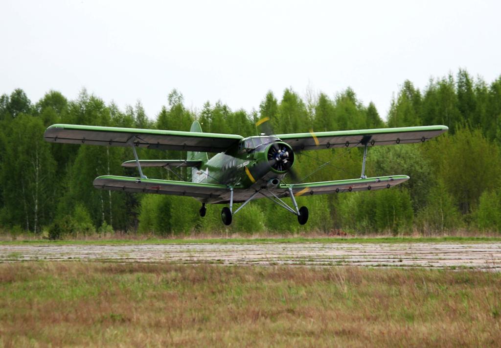 Авиационное патрулирование лесов началось в Нижегородской области
