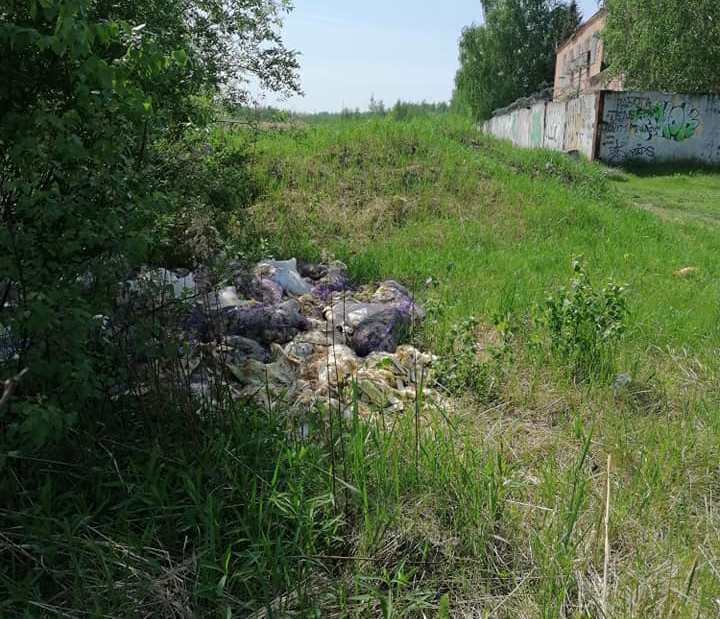 Две свалки гнилой капусты обнаружили на улице Федосеенко в Нижнем Новгороде