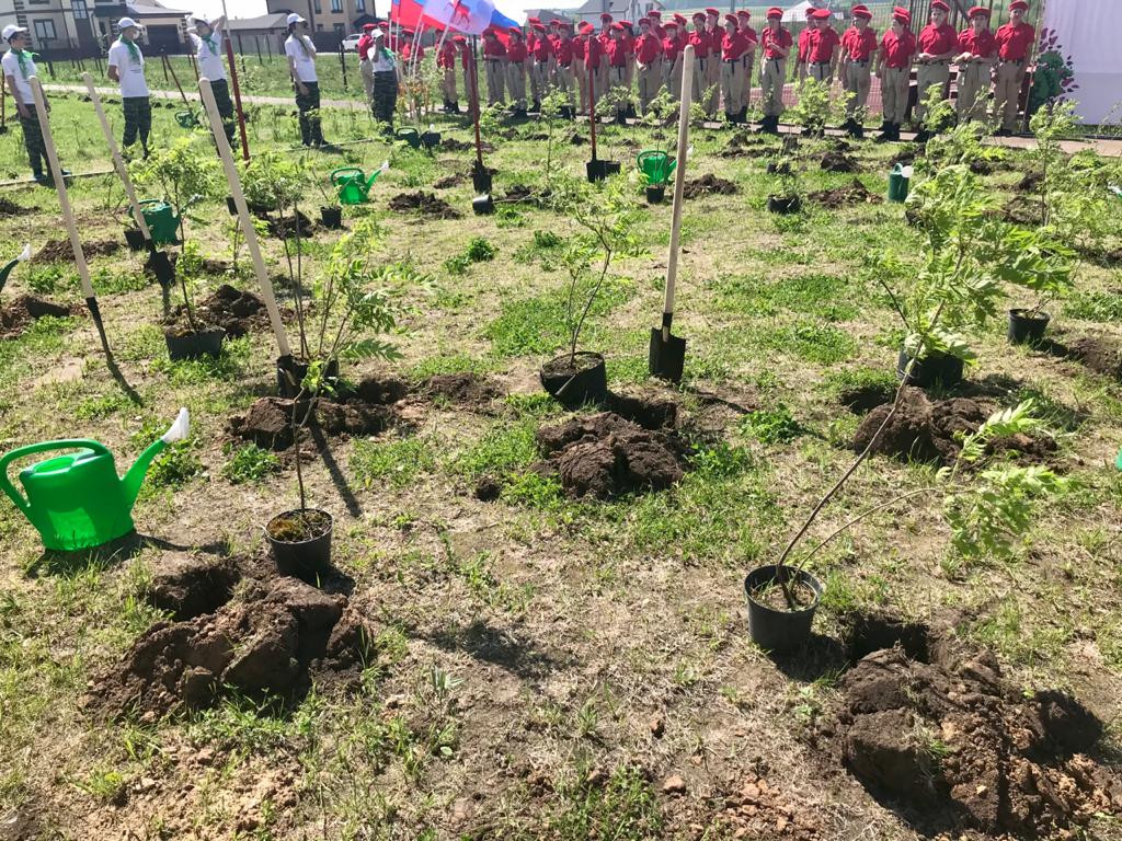 Более 200 деревьев и кустарников высадили в Богородском районе в рамках акции «Сад памяти»