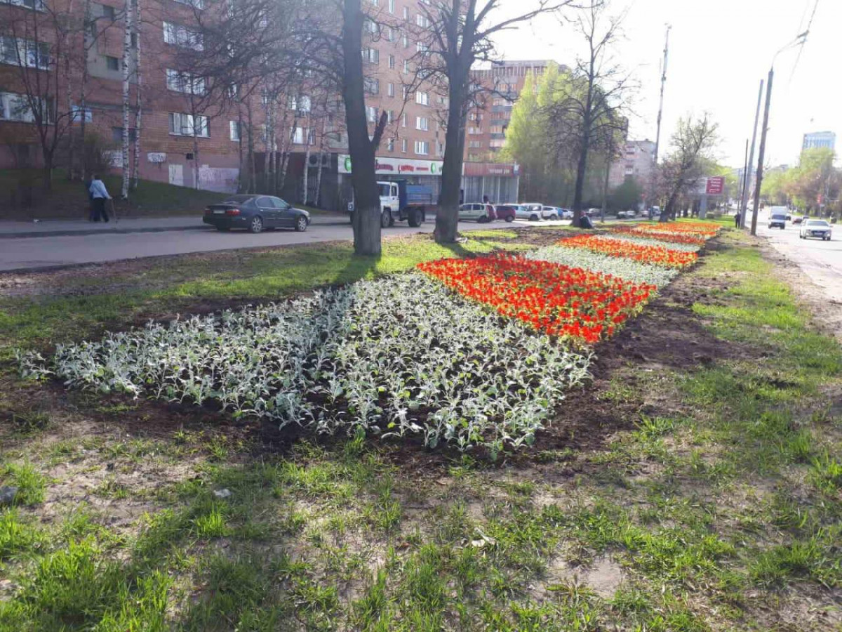 В Нижегородском районе посадят цветники площадью более 8 тысяч кв. м