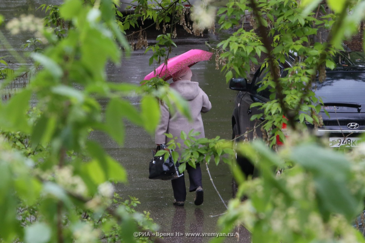Резкое похолодание с дождями ожидает нижегородцев с 30 мая