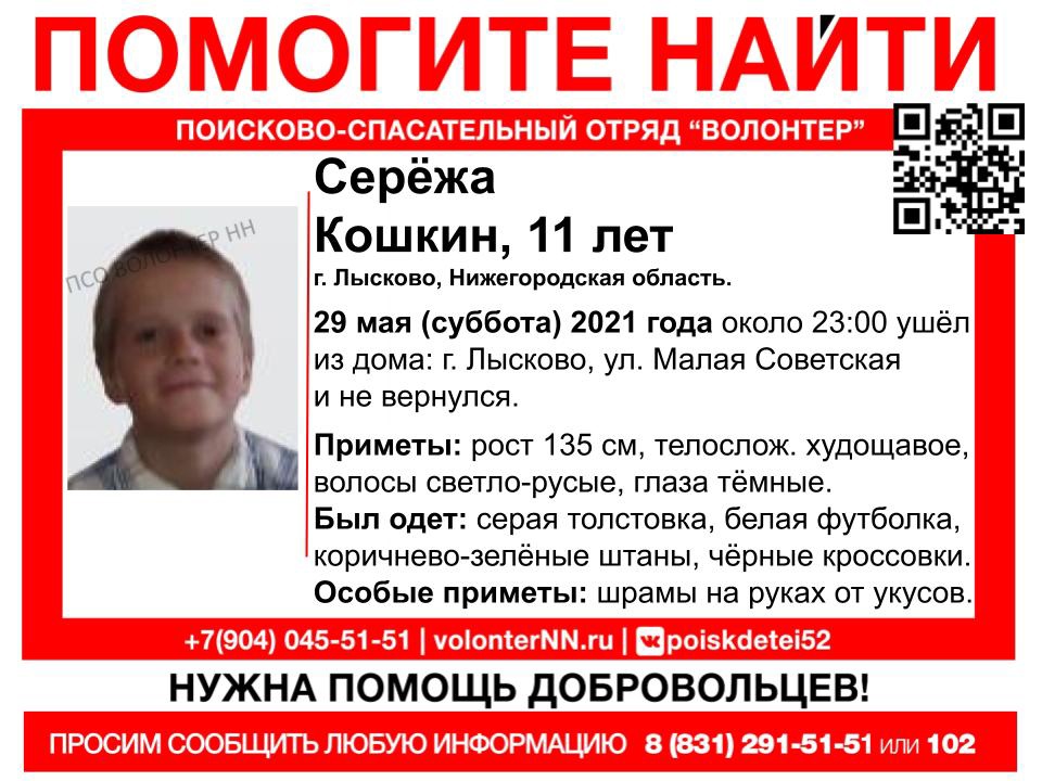 11-летний Серёжа Кошкин пропал в Нижегородской области