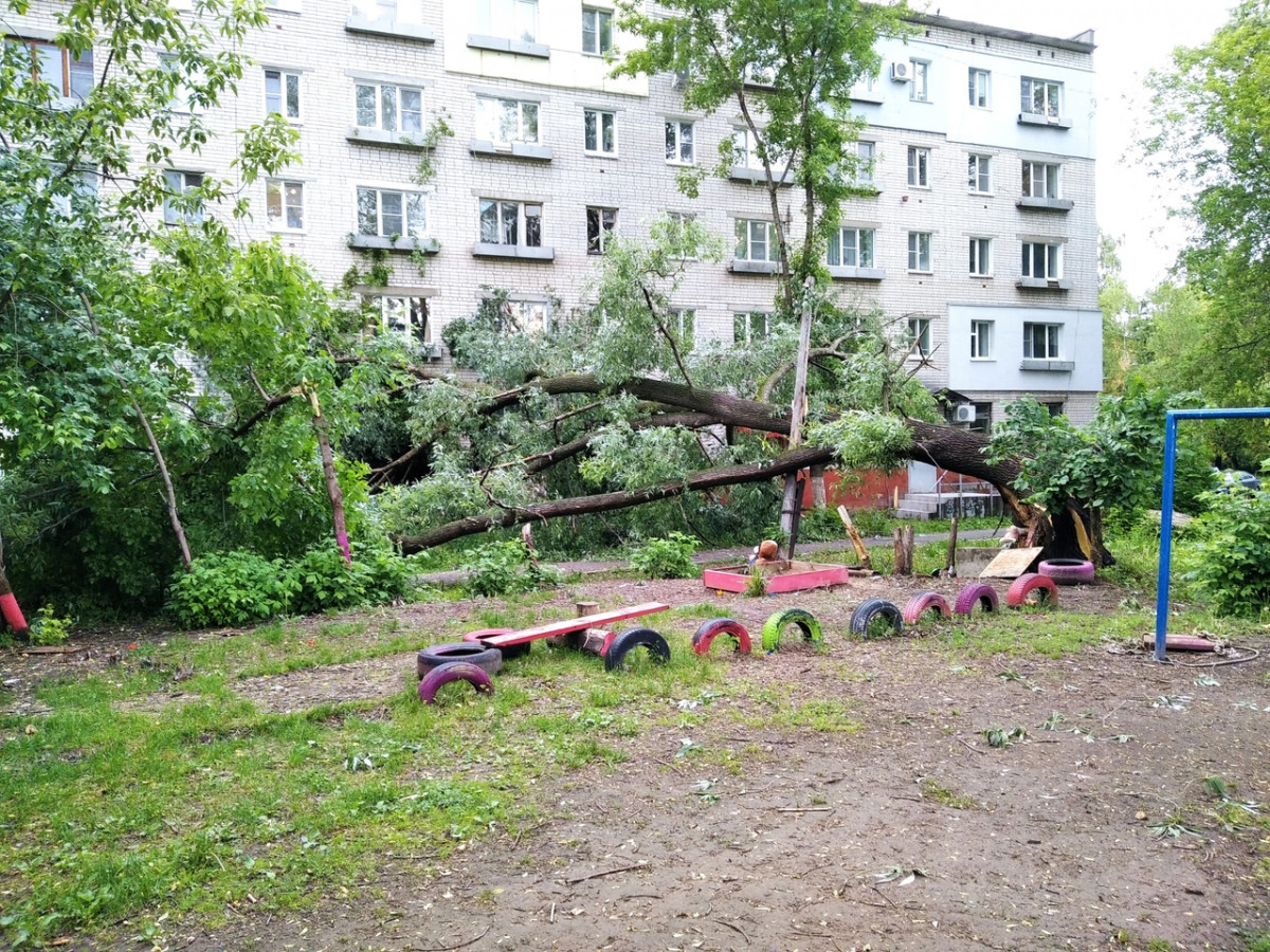 Огромное дерево упало на детскую площадку в Нижнем Новгороде