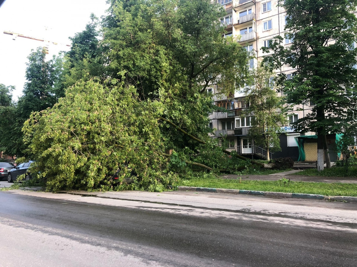 Дерево упало на Range Rover в Нижнем Новгороде