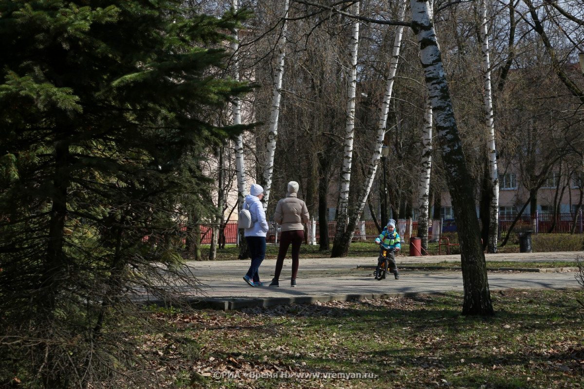 Необычные арт-объекты появятся в нижегородском парке Кулибина