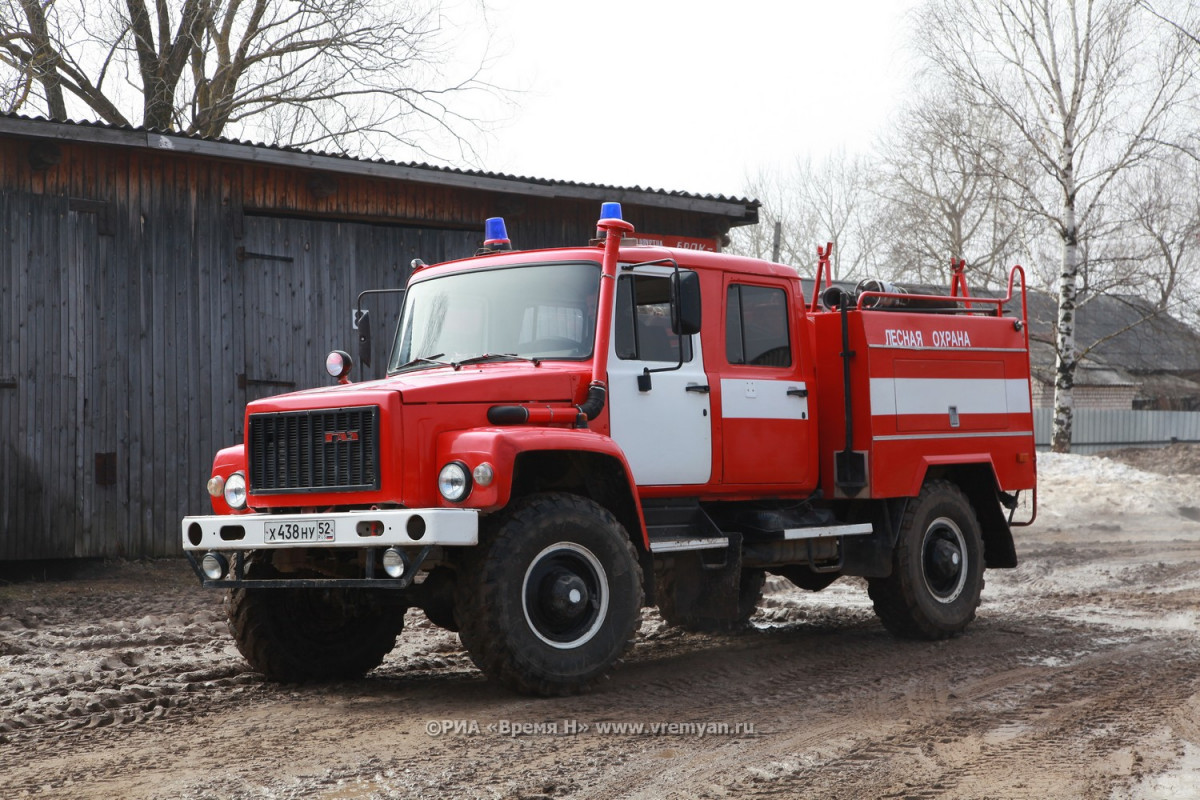 Высокая пожароопасность лесов ожидается в Нижегородской области с 5 июня