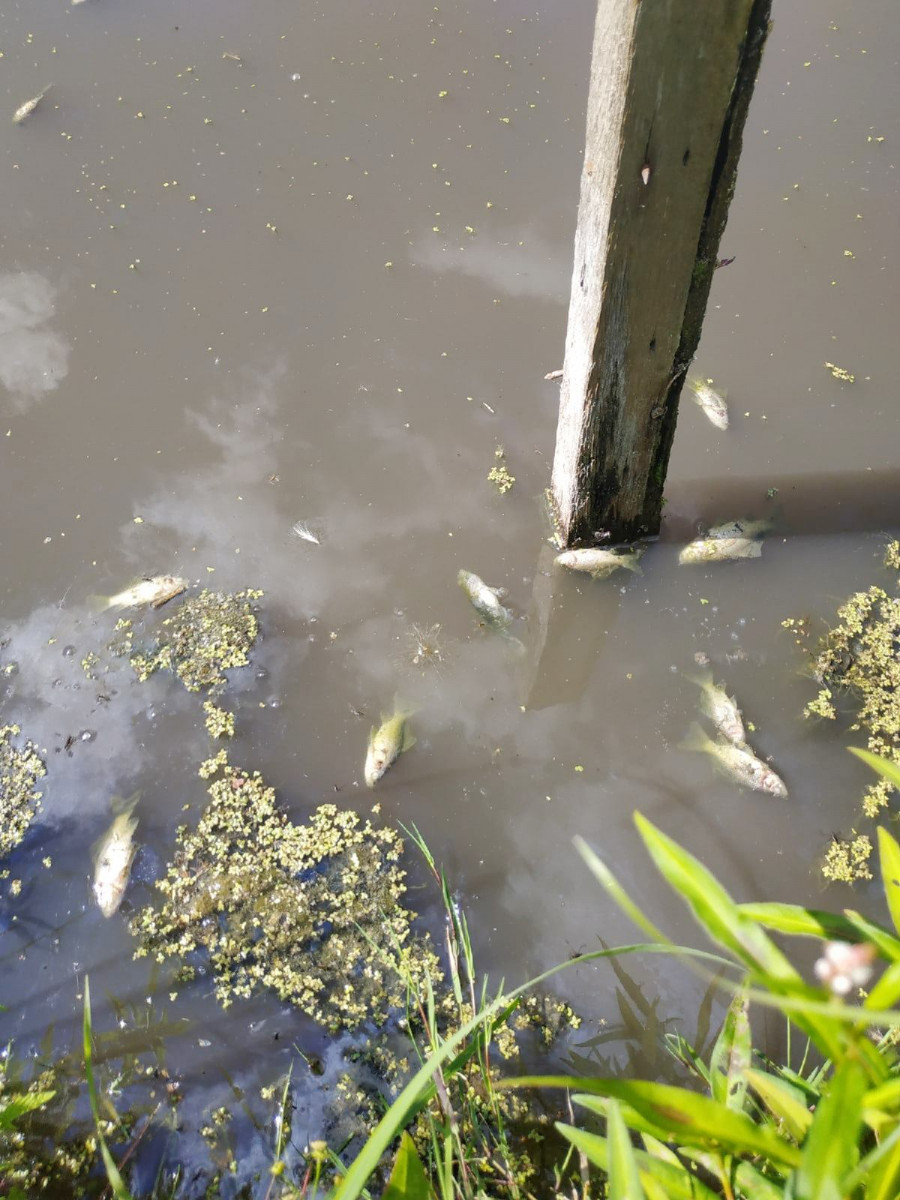 Горячая вода балахна. Разлив канализационных стоков. Разлив канализации.