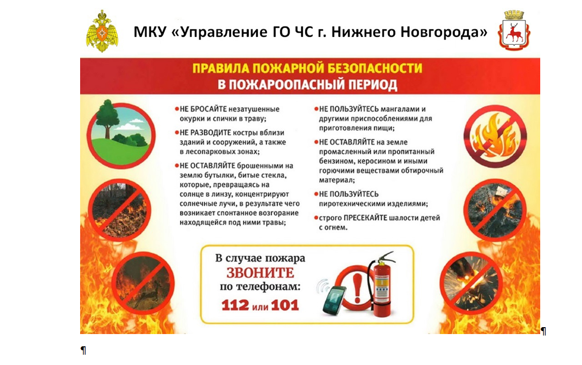 Нижегородцев призывают соблюдать правила пожарной безопасности при посещении лесов