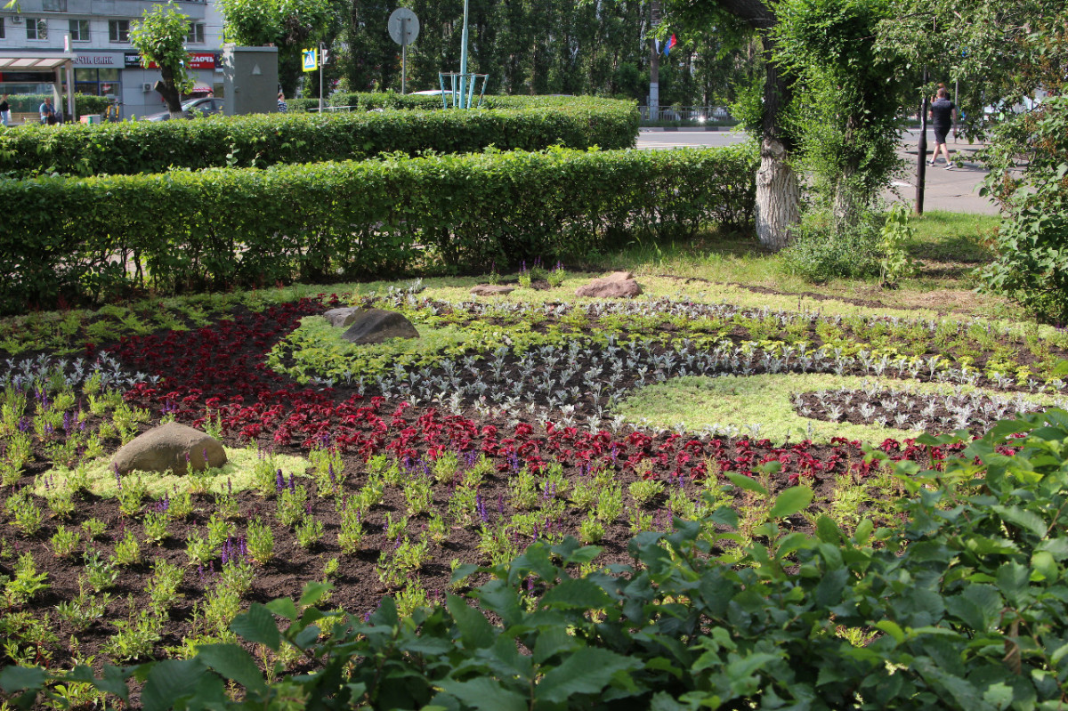 Более 60 цветников высадили в Ленинском районе к 800-летию Нижнего Новгорода