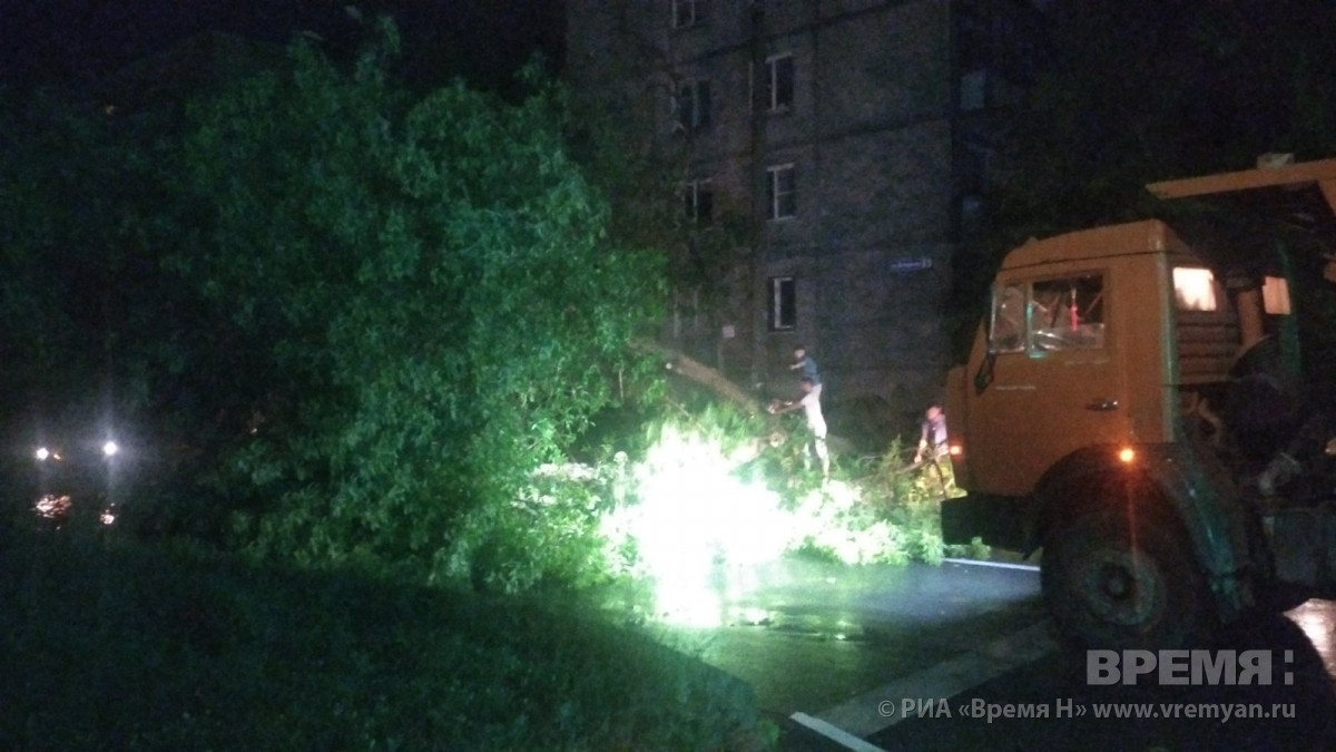 Жители более четырех тысяч домов остались без света в Нижегородской области из-за непогоды