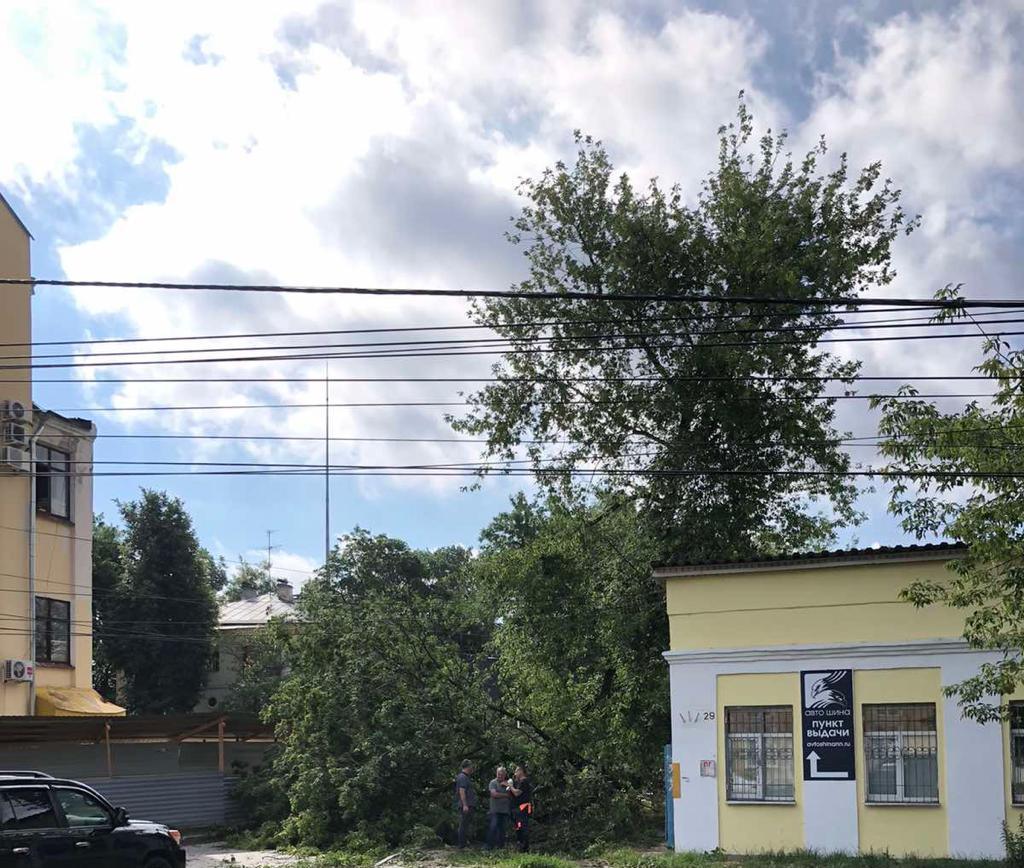 Последствия шквалистого ветра ликвидируют в Нижнем Новгороде