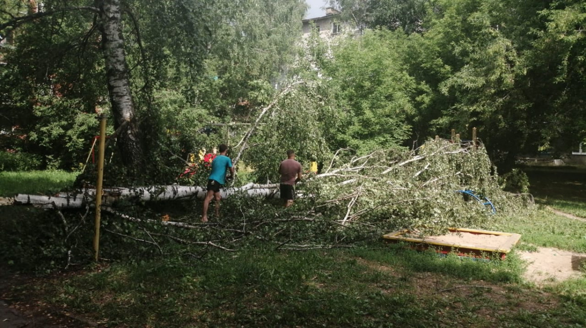 Более 200 деревьев повалил ветер в Нижнем Новгороде