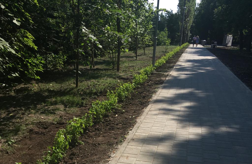 Озеленение сквера на проспекте Гагарина завершилось в Нижнем Новгороде
