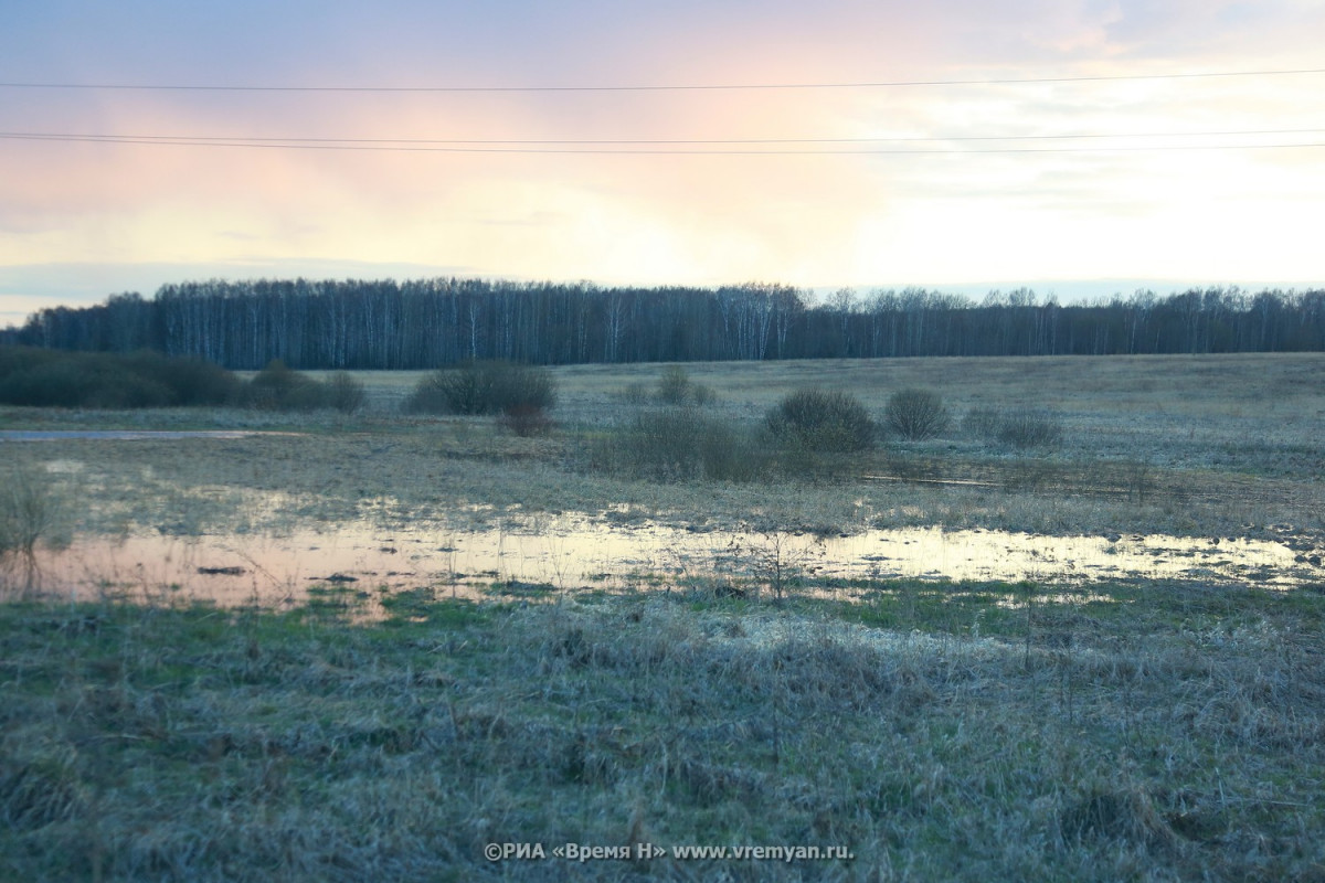 С 25 июля в Нижегородской области можно будет охотиться на болотно-луговую дичь