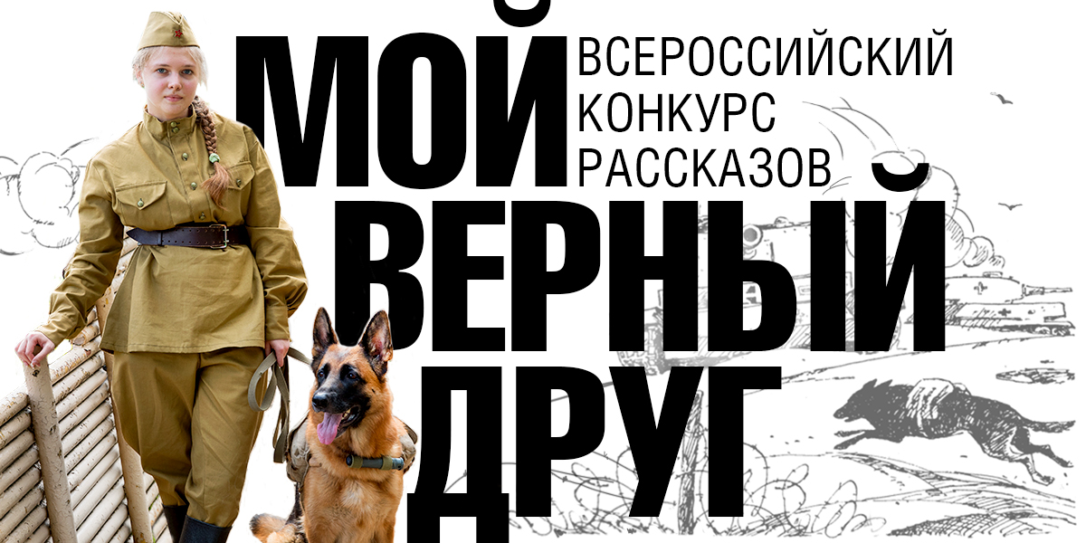Юным жителям Нижегородской области предлагают написать рассказ ко Дню фронтовой собаки