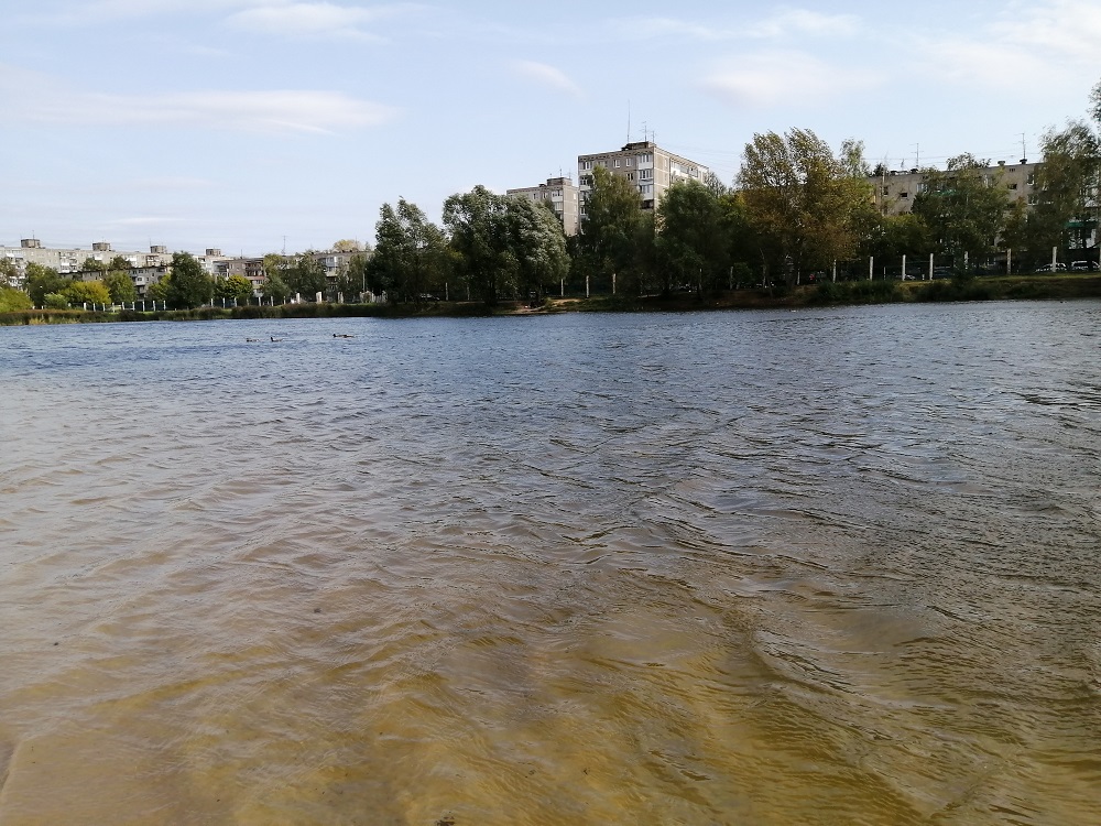 Вода в семи озерах Нижнего Новгорода имеет превышения по микробиологическим показателям