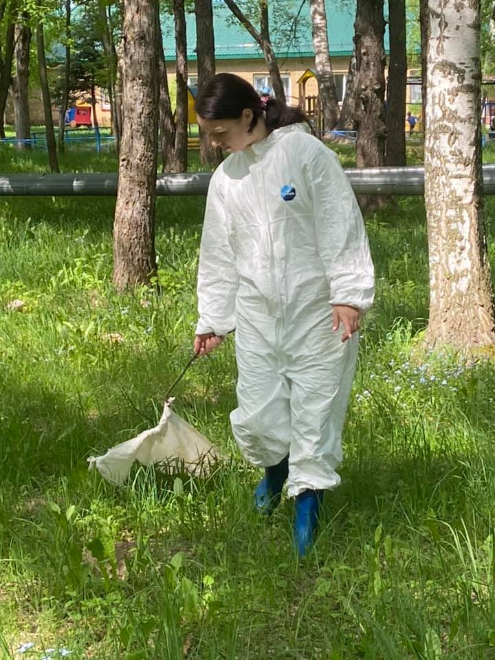 Более 8 тысяч жителей Нижегородской области пострадали от укусов клещей