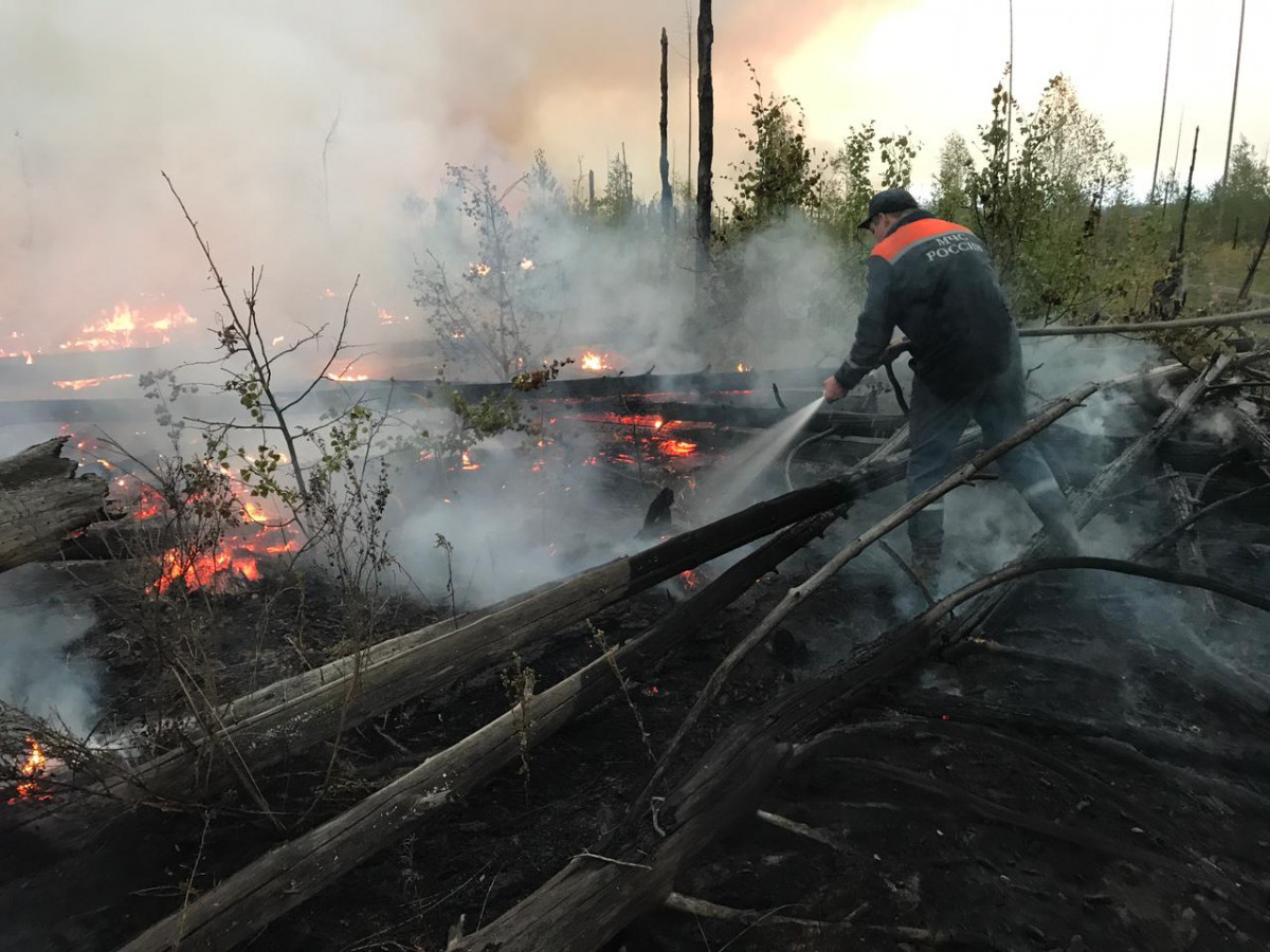 Нижегородские пожарные тушат пожар в заповеднике Мордовии