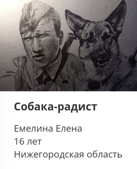 Рисунки нижегородцев вошли в виртуальную выставку о фронтовых собаках