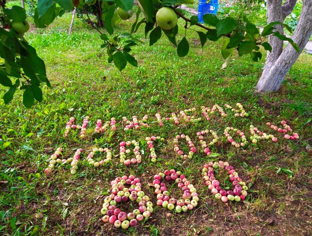 Онлайн-фестиваль творчества «Подарок любимому городу» стартовал в Нижнем Новгороде