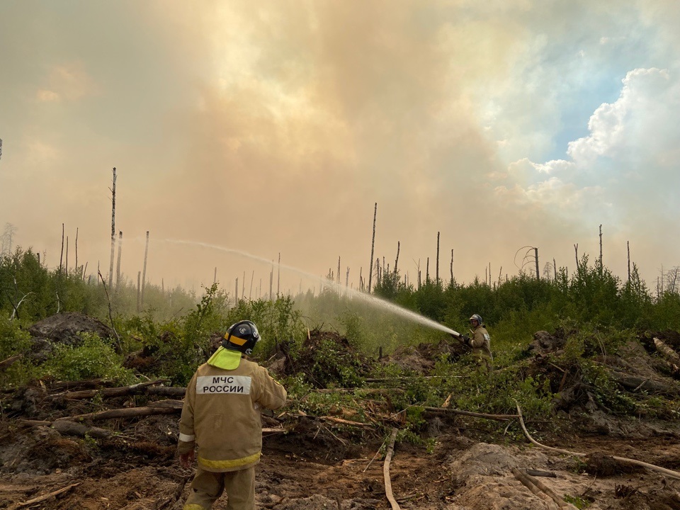 Нижегородцы помогают в тушении пожара в Мордовском заповеднике