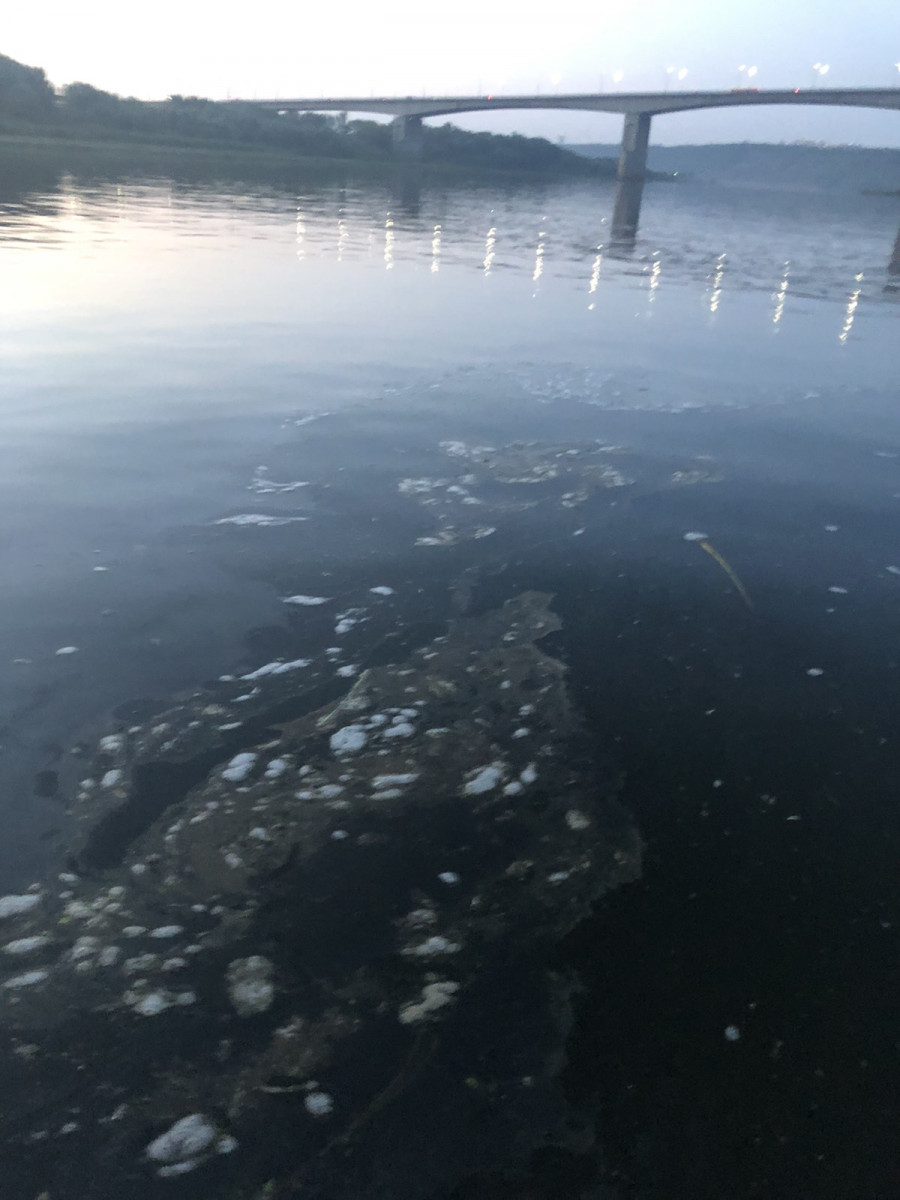 Нефтяные пятна у Мызинского моста обнаружили на Оке