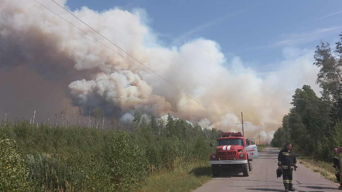 МЧС рассказало о борьбе с пожарами в Мордовском заповеднике