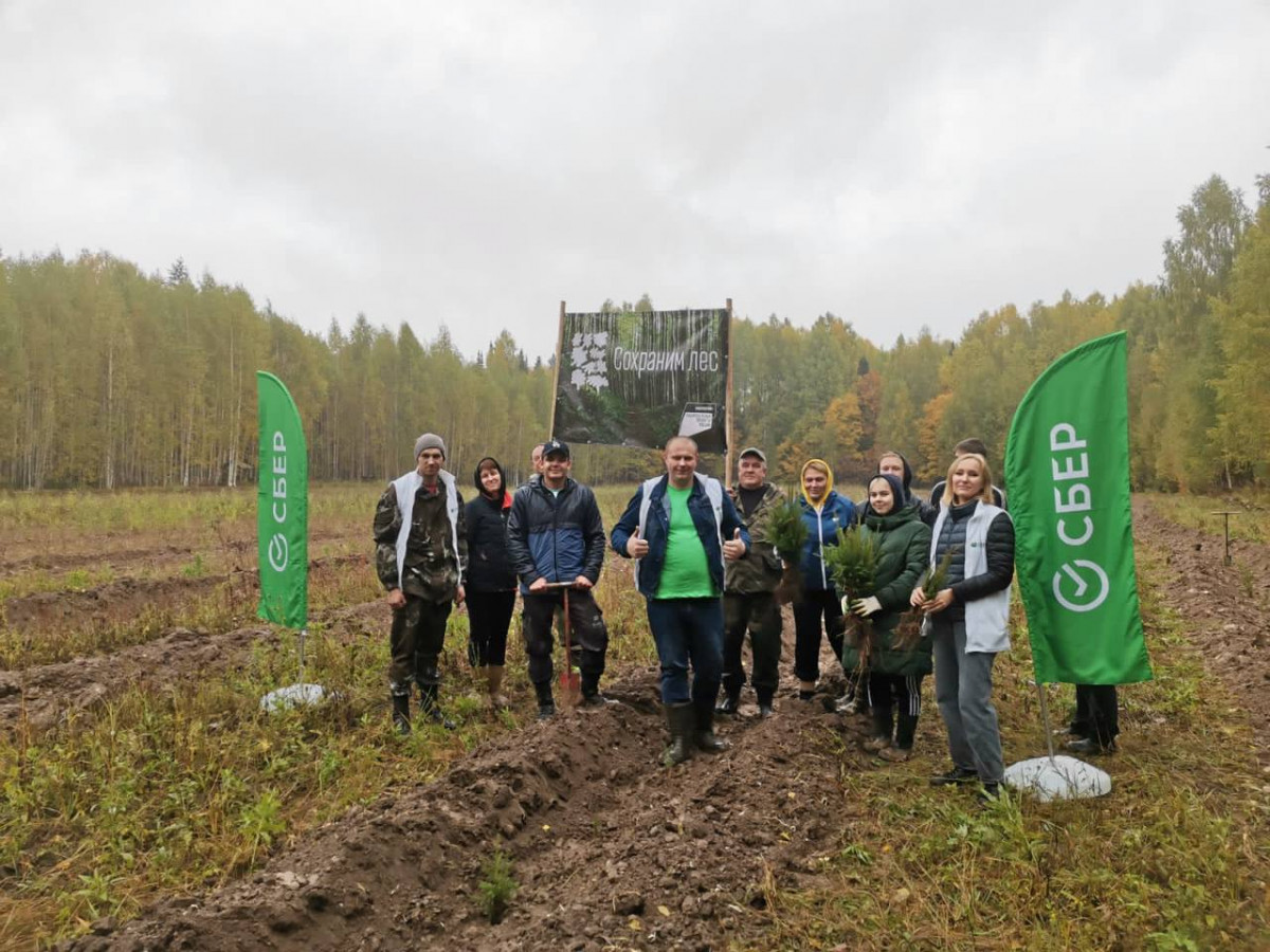 Сбербанк поддержал всероссийскую экологическую акцию «Сохраним лес» в Нижегородской области