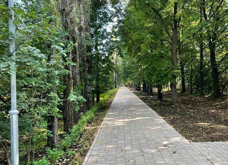 Пять тысяч деревьев и кустарников высажено в Советском районе