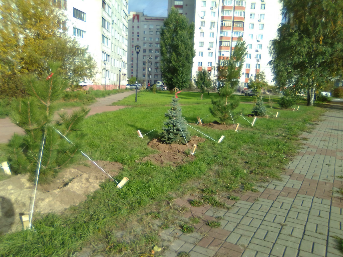 Более 400 кв. м цветников обустроено в Московском районе
