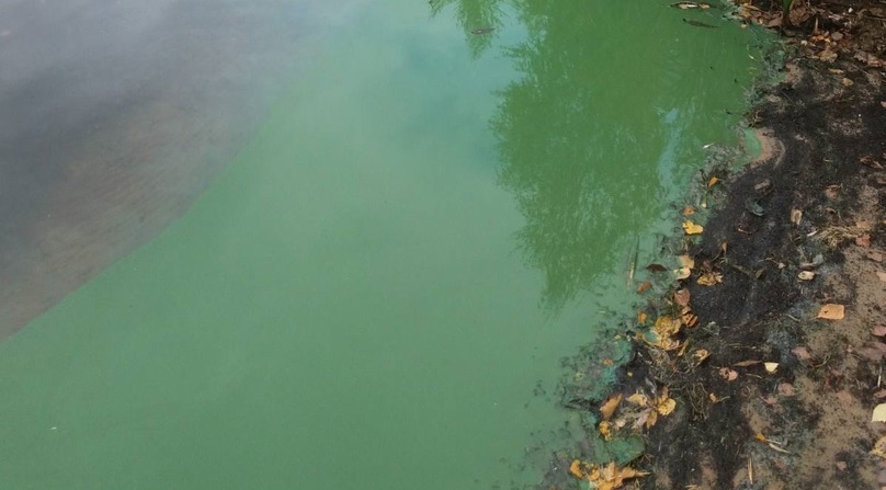 Озеро под Дзержинском стало кислотно-зеленым