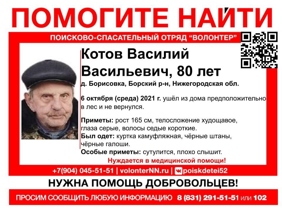 80-летний Василий Котов пропал в деревне Борисовка