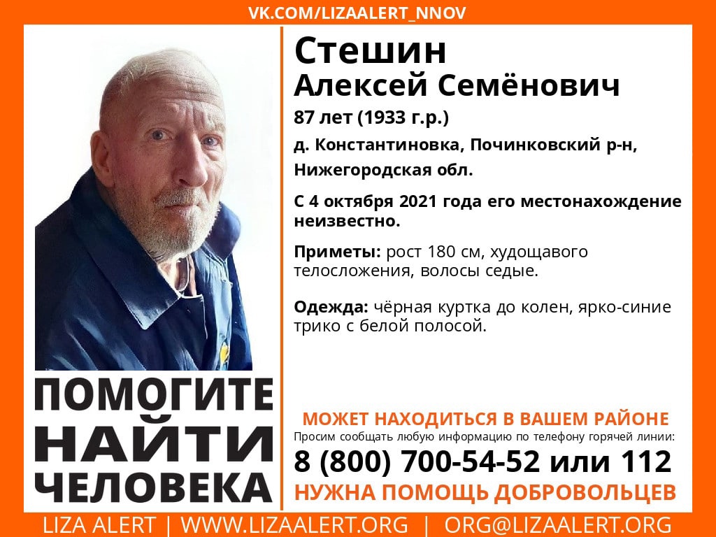 87-летнего Алексея Стешина ищут в Починковском районе