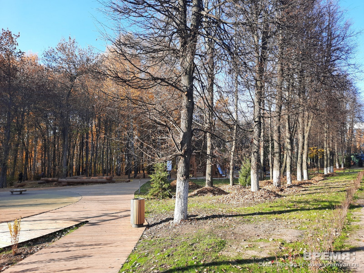 «Фамильные деревья» появятся в парке «Швейцария» весной 2022 года