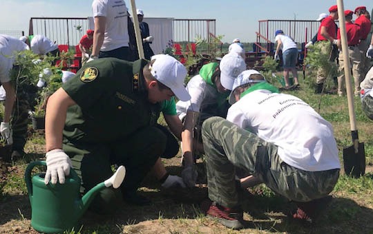 Четыре новых школьных лесничества создано в Нижегородской области