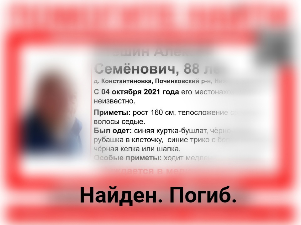 Пропавший в Нижегородской области Алексей Стешин найден погибшим