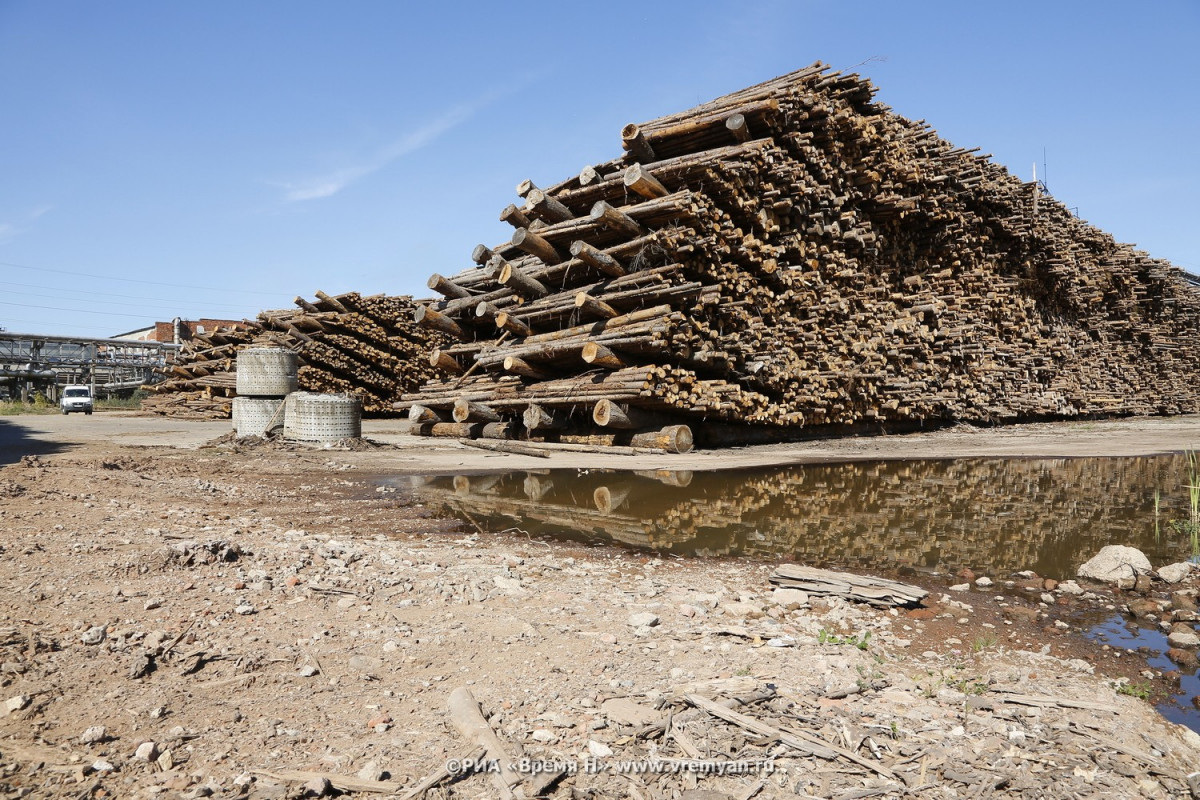 Массовую вырубку леса незаконно произвели в Тоншаевском районе