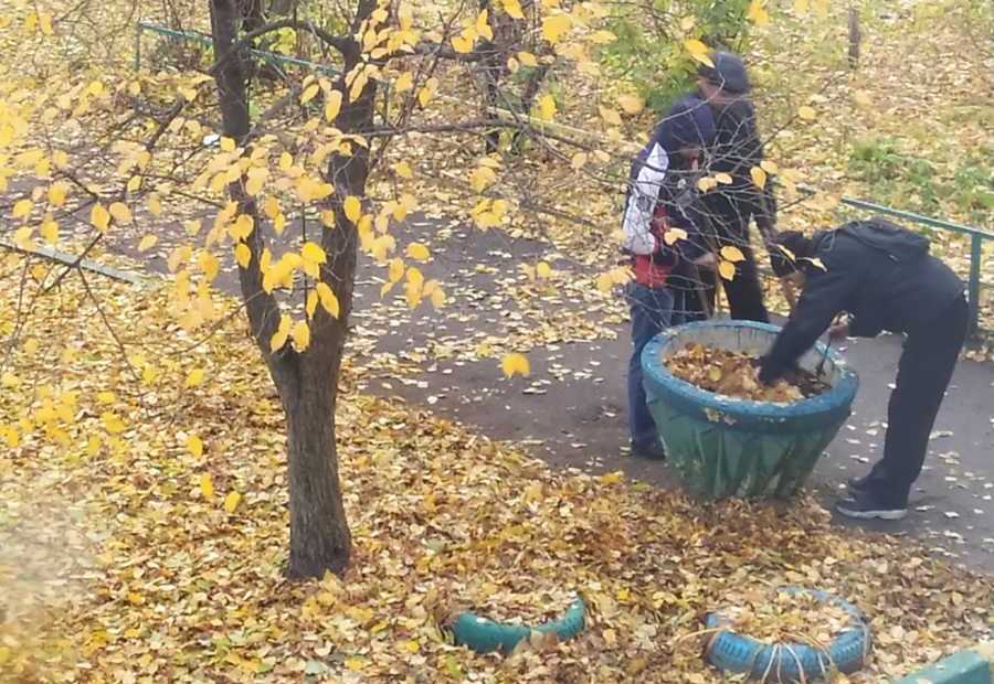 Двор на улице Мануфактурной оккупировали наркоманы