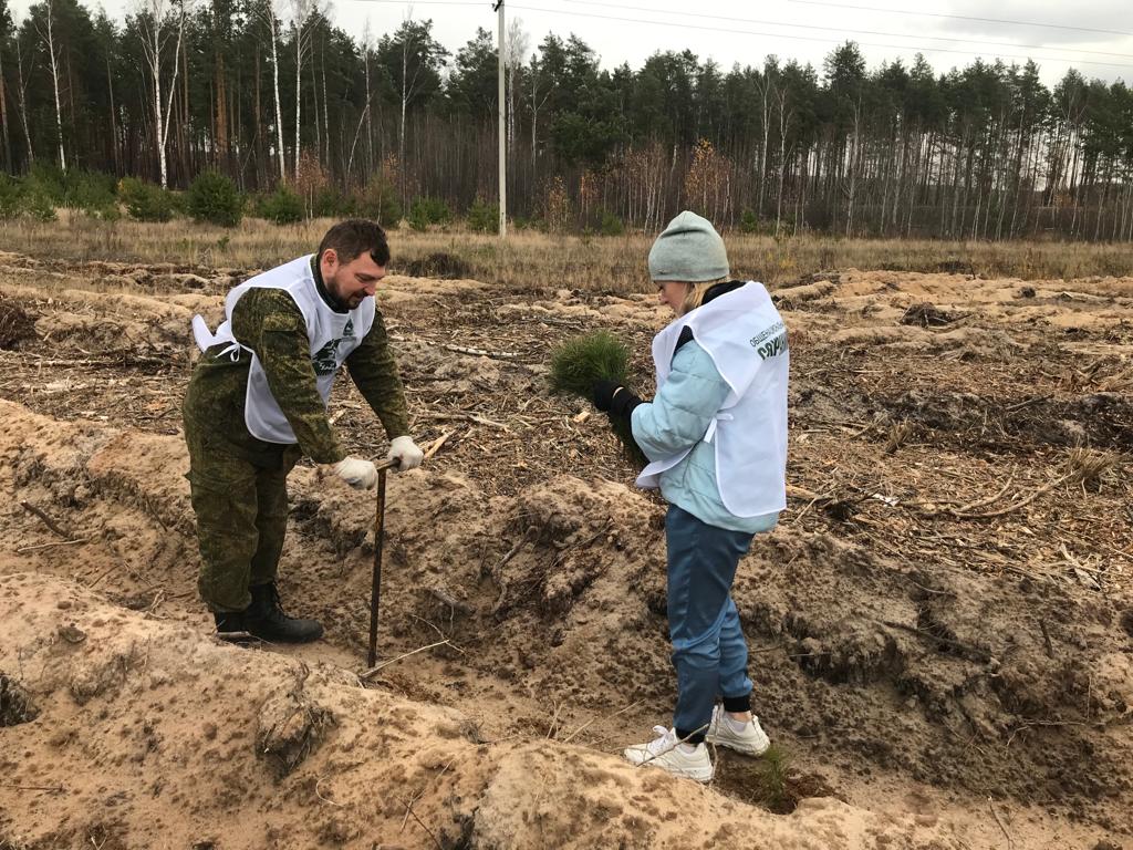 Восемь тысяч саженцев сосны высадили в рамках акции «Сохраним лес» в Шатковском районе