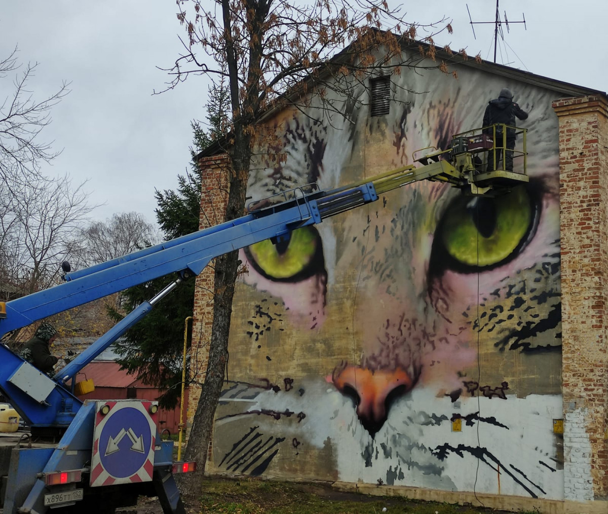 Анималистическое граффити с котом появится в Нижнем Новгороде