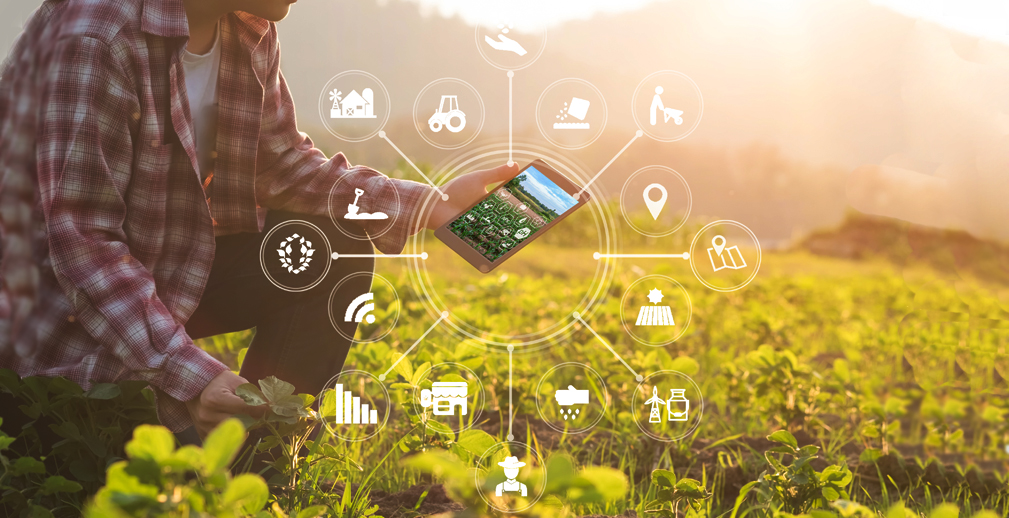 От виртуальной реальности до точного земледелия: РСХБ и «Сколково» ищут инновации для agro и fintech