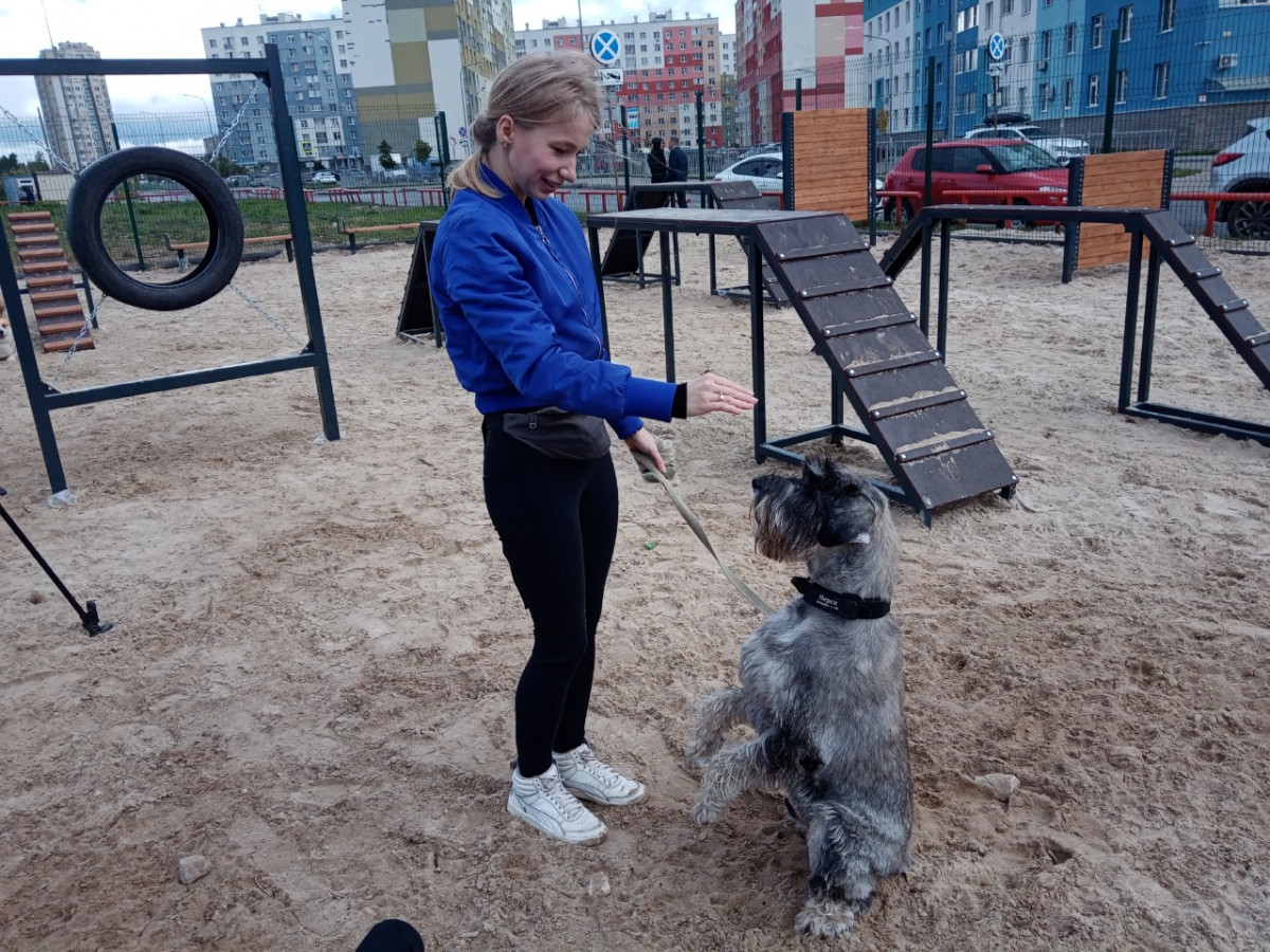 16 новых площадок для собак построено в Нижнем Новгороде в 2021 году