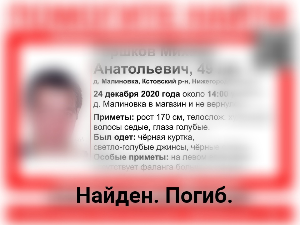 Пропавший в Нижегородской области зимой Михаил Горшков найден погибшим