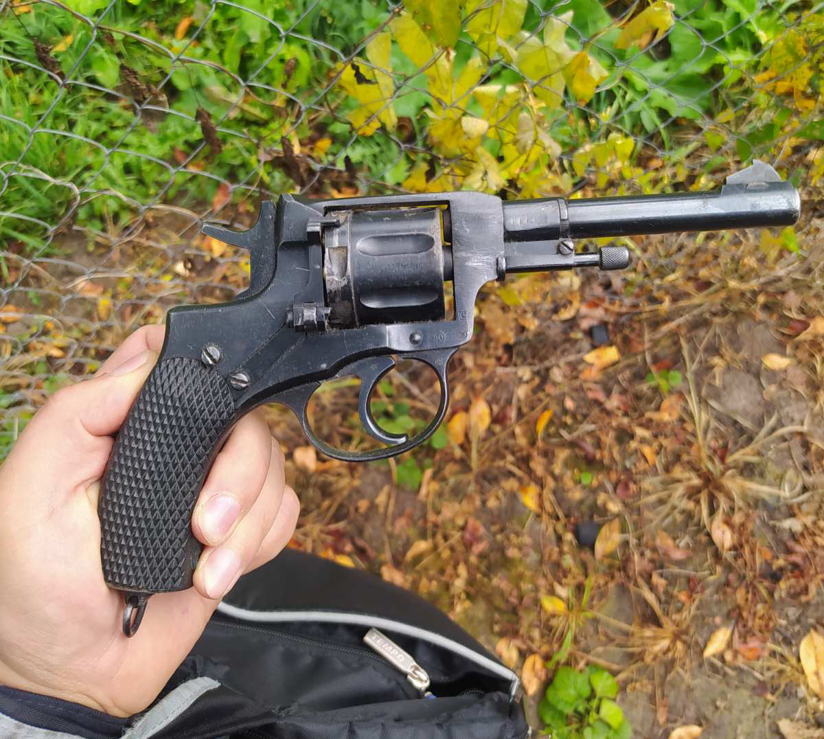 Житель Лысковского района разгонял бродячих собак с помощью револьвера