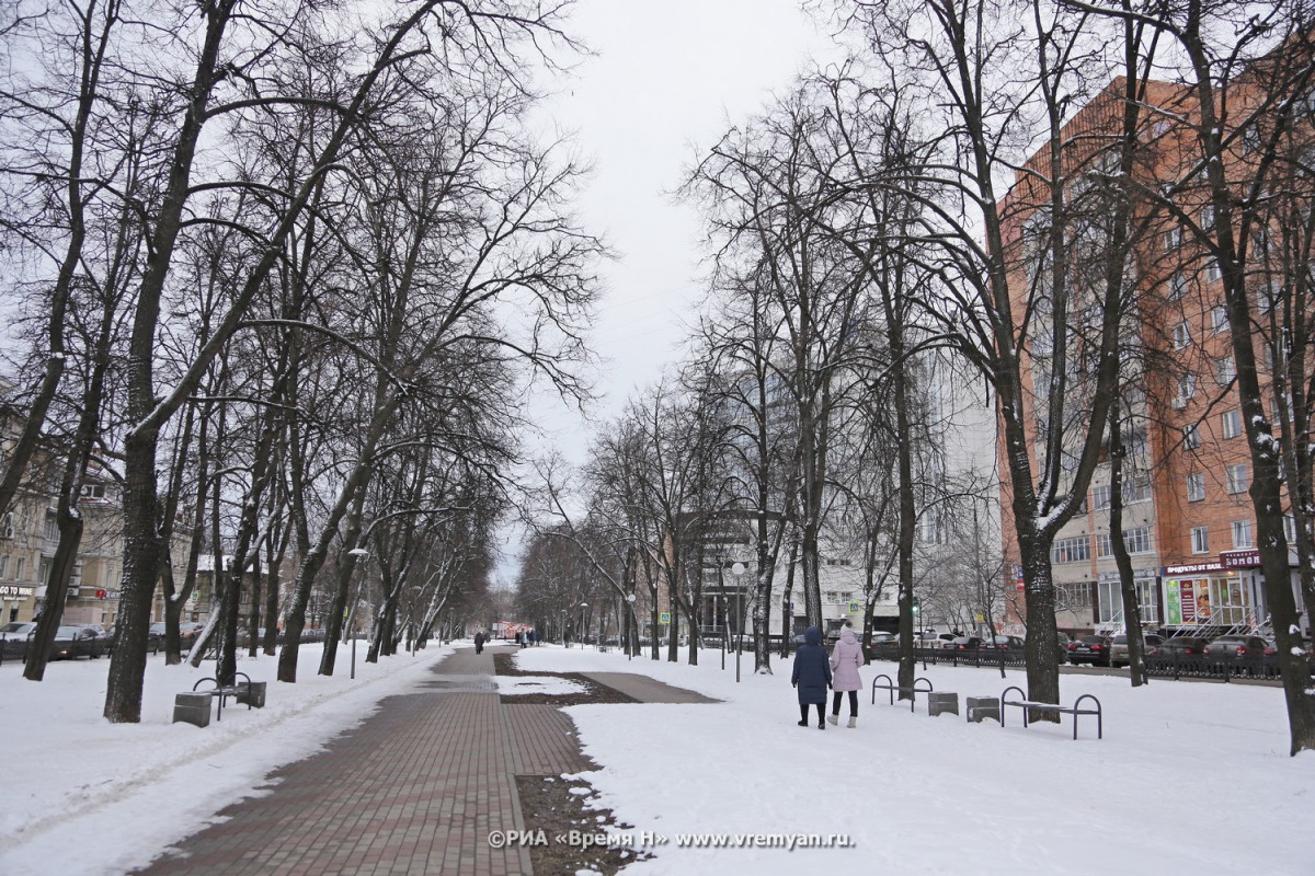 Определены самые интересные нижегородские новости за неделю