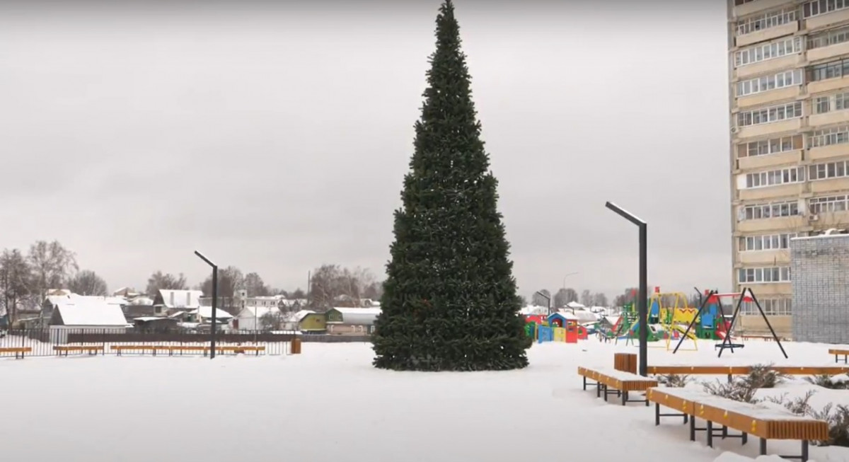 11-метровую новогоднюю ель установили в Выксе на благоустроенном по нацпроекту Межонском пруду