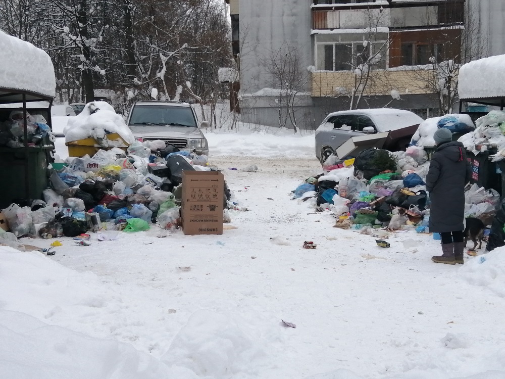 Необычный способ вывоза мусора опробовали в Городце