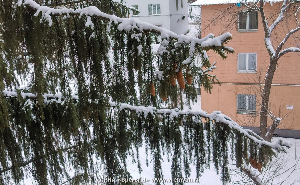 Мороз до -10°C со снегом ожидается в Нижнем Новгороде 22 января